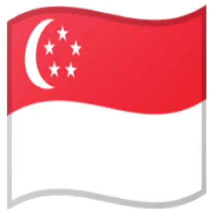 新加坡/10年老号/可绑手机，改密/可下载