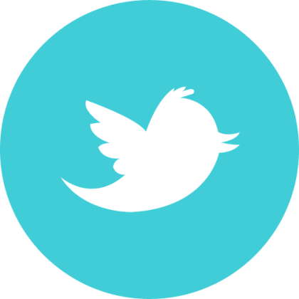 X platform account (Raw format / with Cookies)